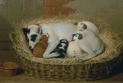 Bitch with Her Puppies in a Wicker Basket by Samuel de Wilde